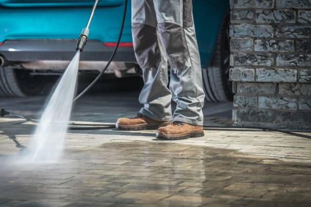 Best Building Exterior Washing  in Lake Ripley, WI