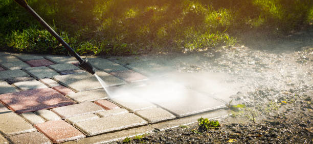 Best Sidewalk and Walkway Cleaning  in Lake Ripley, WI
